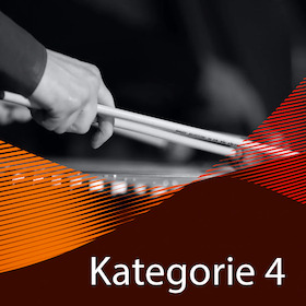 10er-Vorteils-Paket – Kategorie 4 – 10 Konzerte