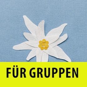 Heidi - Gruppenvorstellung