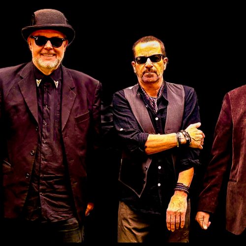 cottonmouthBluesband Foto Oliver Randak